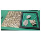 Decorative piece of wall art, sea shells and Decorative piece of wall art, sea shells and
