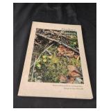 Eliot Porter Appalachian Wilderness-The Great Eliot Porter Appalachian Wilderness-The Great