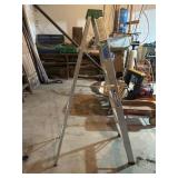 6 Ft Ladder