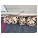 Lots of seashells in baskets