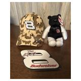 Lot of Dale Earnhardt Jr & Senior Items - Teddy,