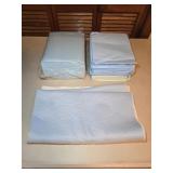 Disposable Absorbent Pads & 1 Re-usable Pad