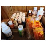 Craft paint and brushes, glue sticks