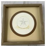 W Gentry 1981 Sand Dollar Framed Art