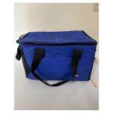 Large Igloo Lunch Box