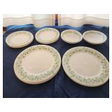 Martha Stewart Everyday Morning Glory plates and