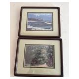 2 Landscape Pictures - Beach and Forest
