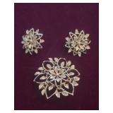 Brooch and Matching Clip on Earrings