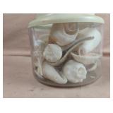 Seashells