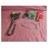 Dog collar and leashes