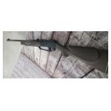 Daisy BB GUN