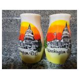 Washington DC souvenir salt and pepper shakers