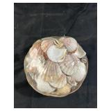 Basket with Shells Sealed, for Decoration