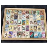 Framed International Stamp Collection