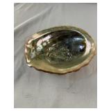Abalone Shell