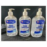 3 bottles hand sanitizer 16.9 fl oz