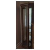 Lighted curio