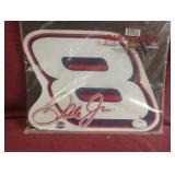 Dale Jr. Car magnet 12 x 8.5