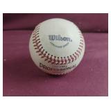 Wilson Professional baseball