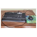 Dell computer keyboard and mouse