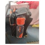 Team Brunswick rolling bowling bag with 3 balls