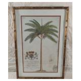 British Colonial Palm IV. by G.D. Ehret. 17 x 25