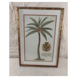 Reproduction print of an 18th-century botanical