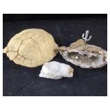 Geode, Quartz Stone and turtle shell