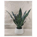 Artificial snake plant in a ceramic planter