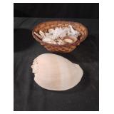 Sea shells