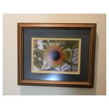 11x9 framed sunflower photo