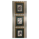 12.5x 15.5 framed bird prints