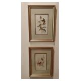 Framed art print "Great Tit" and "Goldfinch" by