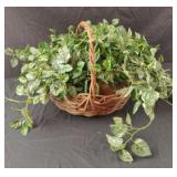 Faux plant in a basket 12 x 11 x 12