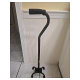 Walking Cane