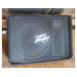 Peavey PV 15M floor monitor