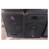 Nady PTS1015 15" 2-way trapezoid speakers. Set of