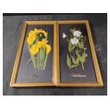 Iris and Stitchwort framed artwork