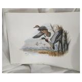 Blake 12 X 16. Mallard  1998