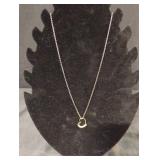 Heart shaped charm necklace