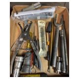 Blue point and others