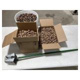 Pecans w/ Picker