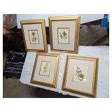 4 Pressed Flower Pictures