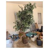 Large Faux Fica Tree