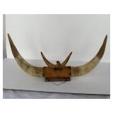 #4 Vintage Small Bull or Steer Horn 20" Mount