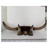 #3 Steer/Bull Horns Hoof Mount - 42" Long