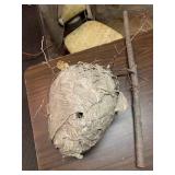 Hornets nest