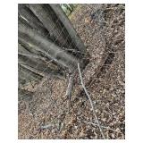 Tomato Cages 20+, fence wire