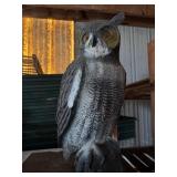 Owl Decoy