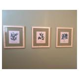 Set of three sage green matted herb pictures